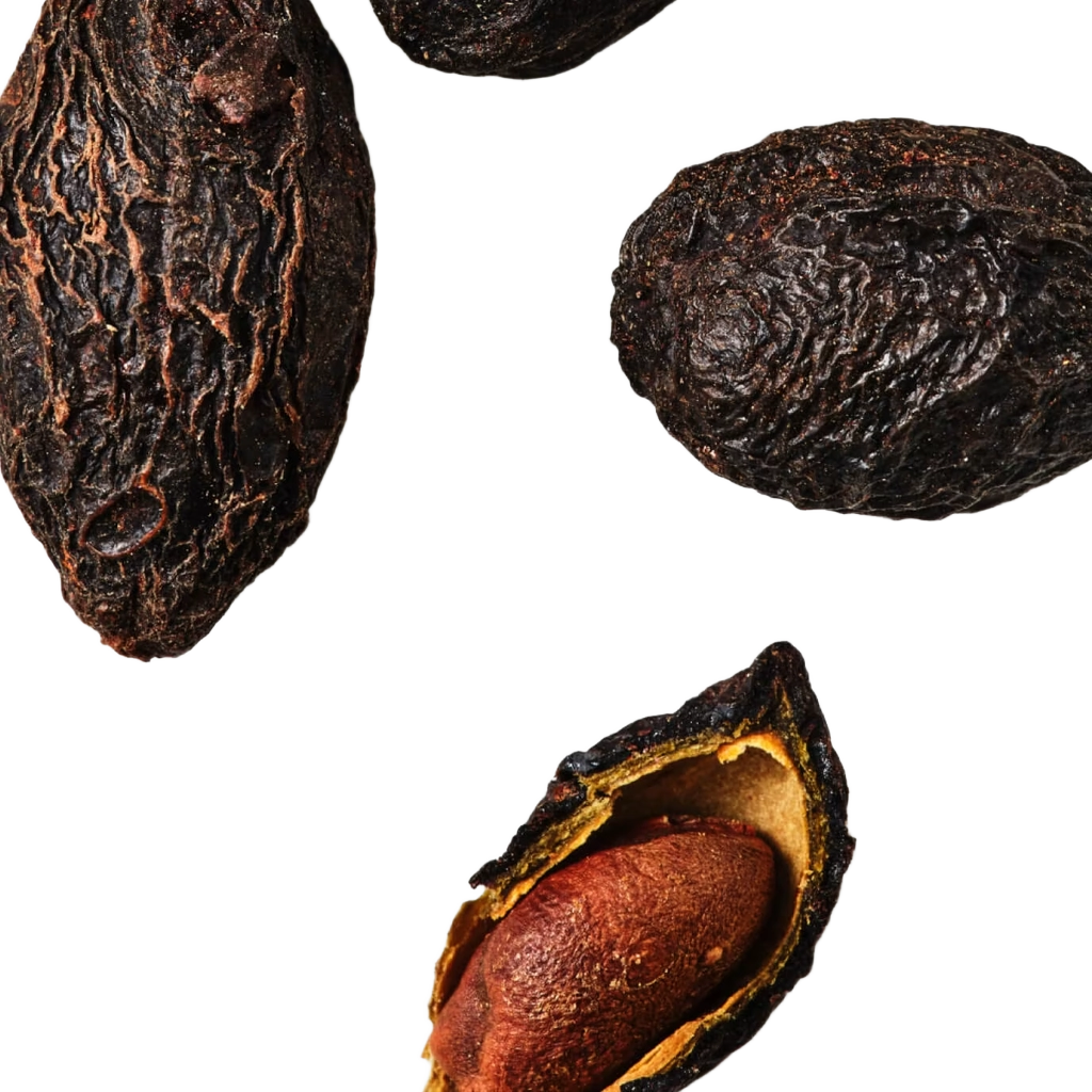 Saw Palmetto
