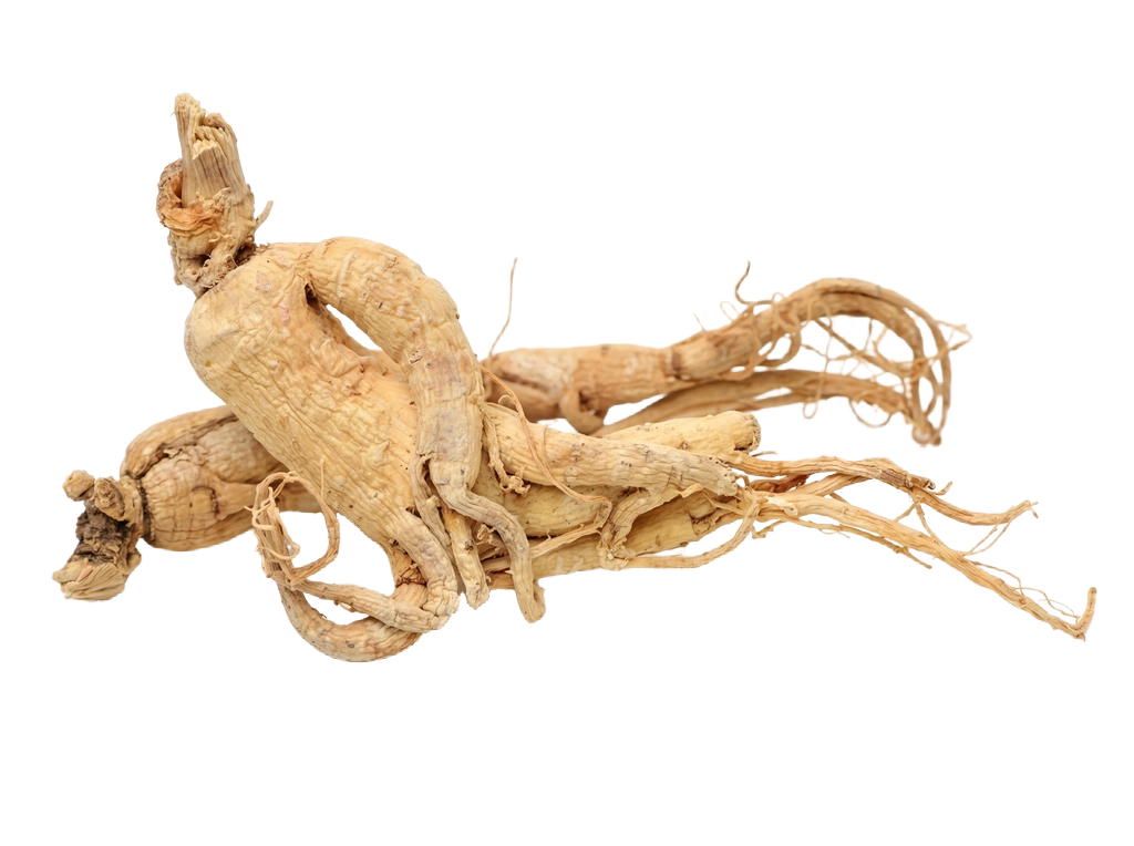  Panax Ginseng Root Extract